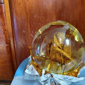 Glass rose globe